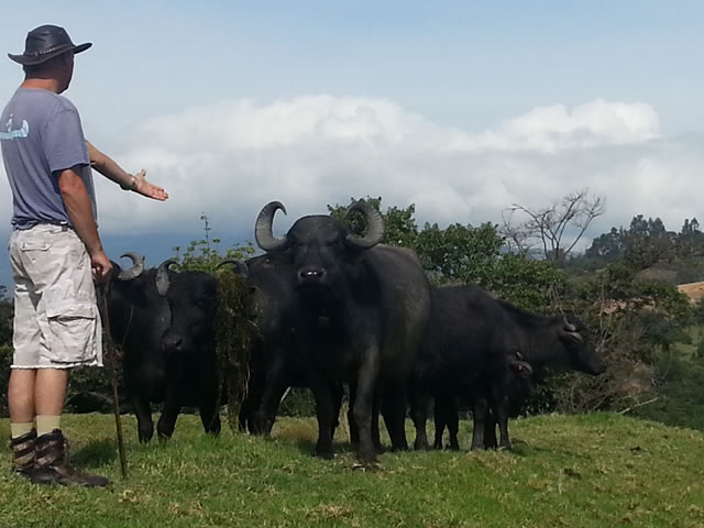 Nuestras Visitas y mejores recuerdos!