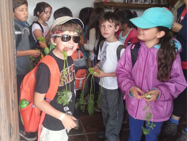 Nuestras Visitas y mejores recuerdos!